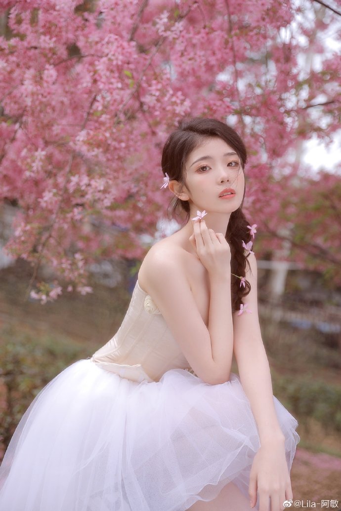 我的团长我的团 封面